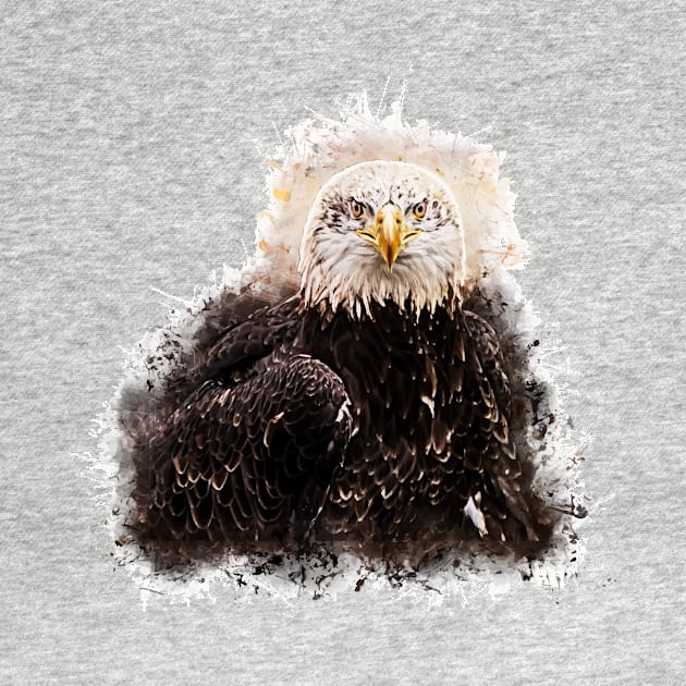 American Bald Eagle by ElviraDraat